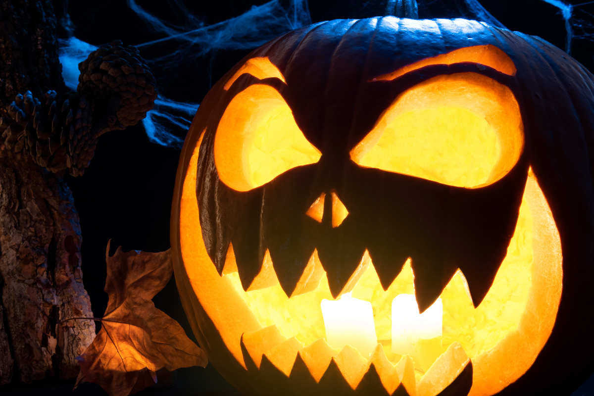Halloween-Party planen: Mit Licht, Sound, Nebel & Deko zur perfekten Grusel-Atmosphäre